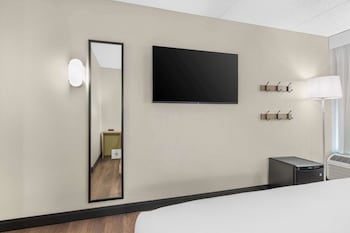 Room, 1 King Bed, Accessible (Mobility, Roll-In Shower)