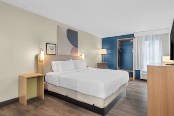 Room, 1 King Bed