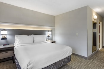 Room, 1 Queen Bed, Accessible