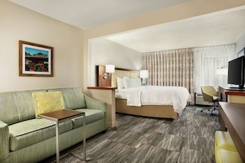 Room, 1 King Bed with Sofa bed