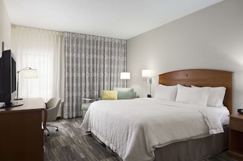 Room, 1 King Bed, Accessible, Non Smoking