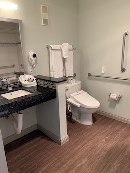 ADA Accessible Standard Room