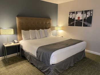 ADA Accessible Standard Room