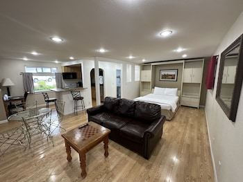 Premium Studio Suite, Kitchen, Courtyard Area