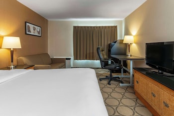 Comfort Care, Deluxe Room, 1 Queen Bed with Sofa bed, Refrigerator & Microwave