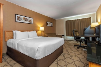 Comfort Care, Deluxe Room, 1 Queen Bed with Sofa bed, Refrigerator & Microwave