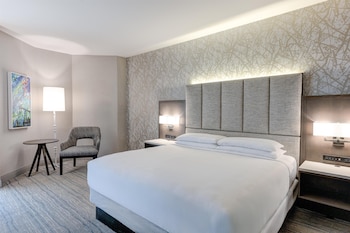 Room, 1 King Bed, Accessible