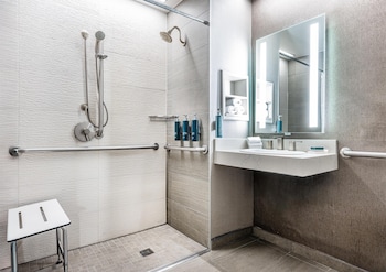 Room, 1 King Bed, Accessible (Roll-in Shower)