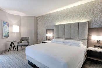 Room, 1 King Bed, Accessible (Roll-in Shower)