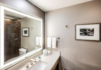 Standard Single Room, 1 King Bed
