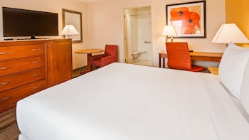 Standard Room, 1 King Bed, Non Smoking, Refrigerator & Microwave (Pet Friendly)