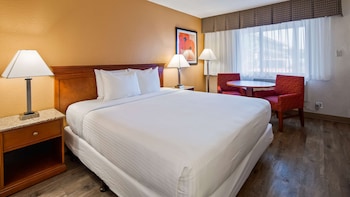 Standard Room, 1 King Bed, Non Smoking, Refrigerator & Microwave (Pet Friendly)