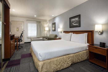 Deluxe Room, 1 King Bed, Accessible (Roll-in Shower)