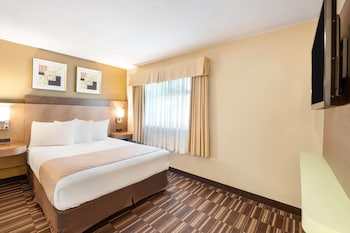 1 Queen Bed Non-pet friendly