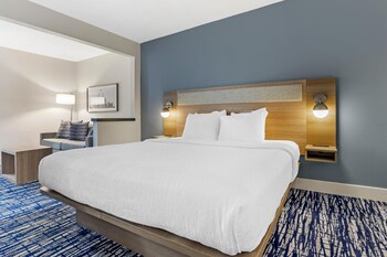 Suite, 1 King Bed, Non Smoking (with Single Sofabed)