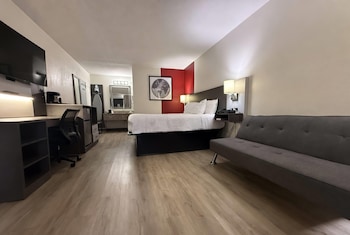Room, 1 King Bed, Non Smoking