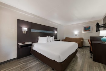 Room, 1 King Bed, Accessible, Non Smoking