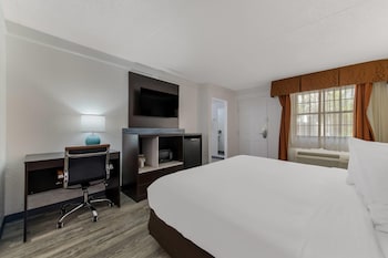 Standard Room, 1 King Bed, Non Smoking