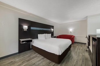 Standard Room, 1 King Bed, Non Smoking