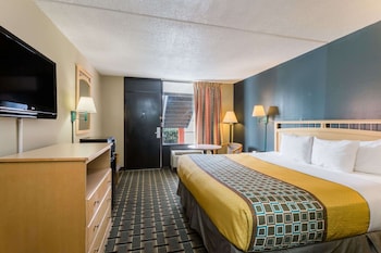 Room, 1 King Bed, Smoking, Microwave