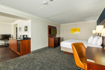Room, Non Smoking (Efficiency, 1 King Bed)