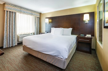Room, 1 King Bed, Non Smoking