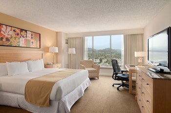 Basic Suite, 1 King Bed (1 Bedroom)