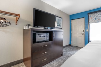 Standard Room, 1 King Bed, Accessible, Refrigerator & Microwave