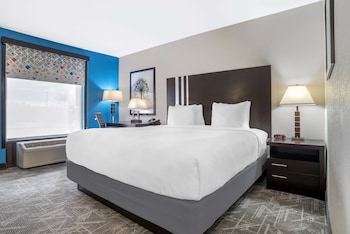 Standard Room, 1 King Bed, Accessible, Refrigerator & Microwave