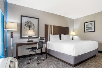 Standard Room, 1 King Bed, Accessible, Refrigerator & Microwave