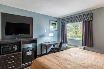 Standard Room, 1 King Bed, Non Smoking, Jetted Tub (1 Person Jetted Tub)