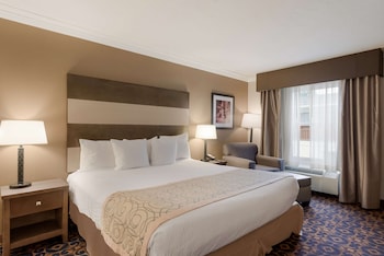 Standard Room, 1 King Bed, Non Smoking, Jetted Tub
