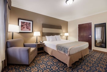 Standard Room, 1 King Bed, Accessible, Non Smoking