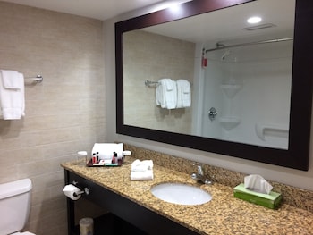 Suite, 1 King Bed, Non Smoking (One-Bedroom)