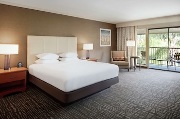 Room, 1 King Bed
