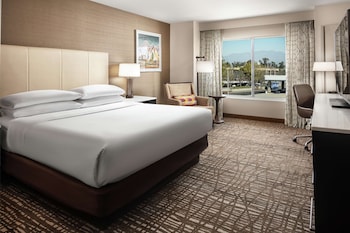 Room, 1 King Bed