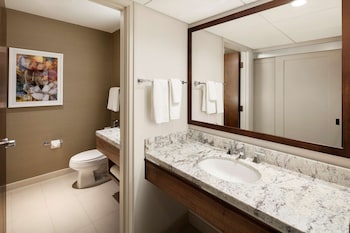 Room, 1 King Bed