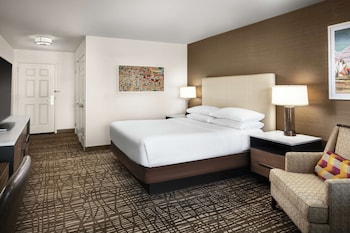 Room, 1 King Bed