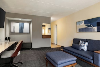 Suite, 1 Bedroom