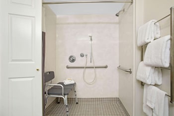 Room, 1 King Bed, Accessible, Non Smoking (Roll-In Shower)