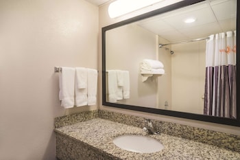 Suite, 1 Bedroom, Non Smoking