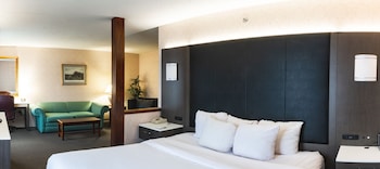 Standard Room, 1 King Bed, Non Smoking, Jetted Tub