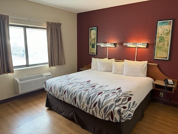 Suite, 1 King Bed with Sofa bed, Non Smoking, Jetted Tub