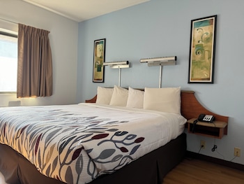 Standard Room, 1 King Bed, Non Smoking