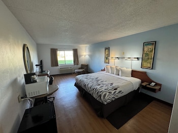 Suite, 1 King Bed with Sofa bed, Non Smoking