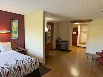 Suite, 1 King Bed with Sofa bed, Non Smoking