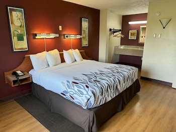 Suite, 1 King Bed with Sofa bed, Non Smoking (2 Rooms)