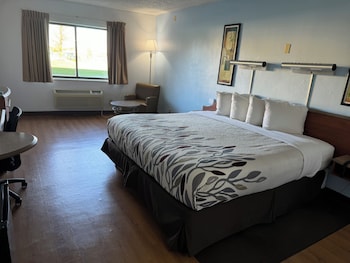 Suite, 1 King Bed with Sofa bed, Non Smoking