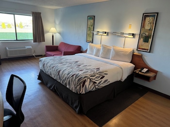 Suite, 1 King Bed with Sofa bed, Non Smoking (2 Rooms)