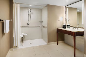 Standard Room, 1 King Bed, Accessible (Mobility/Hearing Access, Roll-In Shwr)